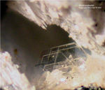 Eifel Mineralien Bellerberg Hydrocalumit