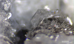 Eifel Mineralien Bellerberg Hydrocalumit