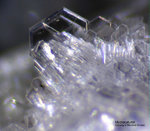 Eifel Mineralien Bellerberg Hydrocalumit