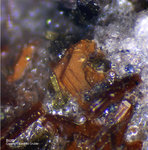 Eifel Mineralien Emmelberg Biotit