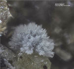 Mineralien Eifel Emmelberg Jeremejewit
