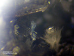 Mineralien Eifel Emmelberg Jeremejewit