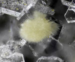 Mineralien Eifel Emmelberg Jeremejewit