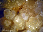 Mineralien Odenwald Ober Mengelbach Calcit