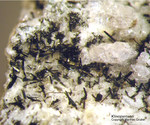 Eifel Mineralien Bellerberg Klinopyroxen