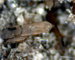 Eifel Mineralien Bellerberg Klinopyroxen