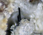 Eifel Mineralien Bellerberg Klinopyroxen