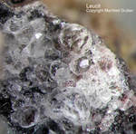 Eifel Mineralien Bellerberg Leucit