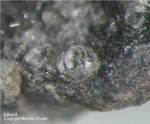 Eifel Mineralien Bellerberg Leucit