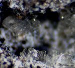 Eifel Mineralien Bellerberg Thomsonit