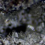 Eifel Mineralien Bellerberg Thomsonit