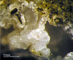 Eifel Mineralien Graulei Phillipsit