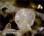 Eifel Mineralien Graulei Phillipsit
