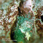 Eifel Mineralien Kall Brochantit
