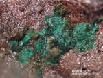 Eifel Mineralien Kall Brochantit