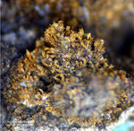 Eifel Mineralien Kall Bindheimit Oxyplumboroméit