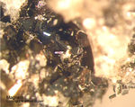 Eifel Mineralien Liley Löhley Magnetit