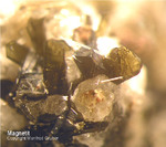 Eifel Mineralien Liley Löhley Magnetit