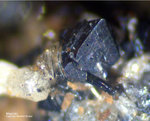 Eifel Mineralien Liley Löhley Magnetit