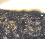 Eifel Mineralien Mendig Almandin