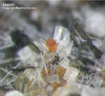 Eifel Mineralien Liley Löhley Melilith