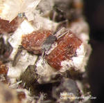 Eifel Mineralien Liley Löhley Melilith