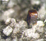 Eifel Mineralien Liley Löhley Melilith