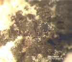 Mineralien Odenwald Erlenbach Glaukodot