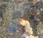 Odenwald Mineralien Nieder-Beerbach Glasberg Covellin