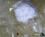 Odenwald Mineralien Nieder-Beerbach Glasberg Mordenit