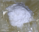 Odenwald Mineralien Nieder-Beerbach Glasberg Mordenit