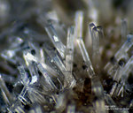 Odenwald Mineralien Nieder-Beerbach Glasberg Natrolith
