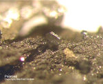 Odenwald Mineralien Nieder-Beerbach Glasberg Pearceit-Tac
