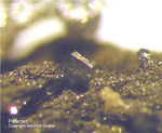 Odenwald Mineralien Nieder-Beerbach Glasberg Pearceit-Tac