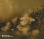 Odenwald Mineralien Nieder-Beerbach Glasberg Pharmakolith