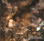 Odenwald Mineralien Nieder-Beerbach Glasberg Pikropharmakolith