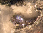 Odenwald Mineralien Nieder-Beerbach Glasberg Lautit