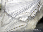 Odenwald Mineralien Nieder-Beerbach Glasberg Pyrophyllit