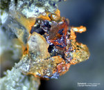 Odenwald Mineralien Nieder-Beerbach Glasberg Sphalerit