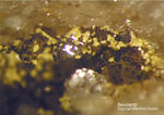 Odenwald Mineralien Reichenbach 16.1 Beudantit