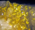 Odenwald Mineralien Reichenbach 16.1 Beudantit