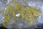 Odenwald Mineralien Reichenbach 16.1 Beudantit