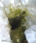 Odenwald Mineralien Reichenbach 16.1 Chenevixit