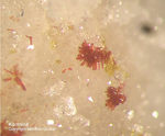 Odenwald Mineralien Reichenbach 16.1 Karminit