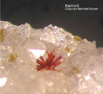 Odenwald Mineralien Reichenbach 16.1 Karminit