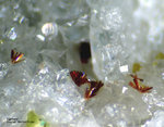 Odenwald Mineralien Reichenbach 16.1 Karminit