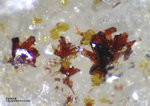 Odenwald Mineralien Reichenbach 16.1 Karminit