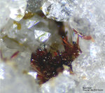 Odenwald Mineralien Reichenbach 16.1 Karminit