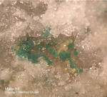 Odenwald Mineralien Reichenbach 16.1 Malachit