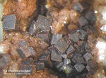 Odenwald Mineralien Reichenbach 16.1 Pharmakosiderit (Ba)